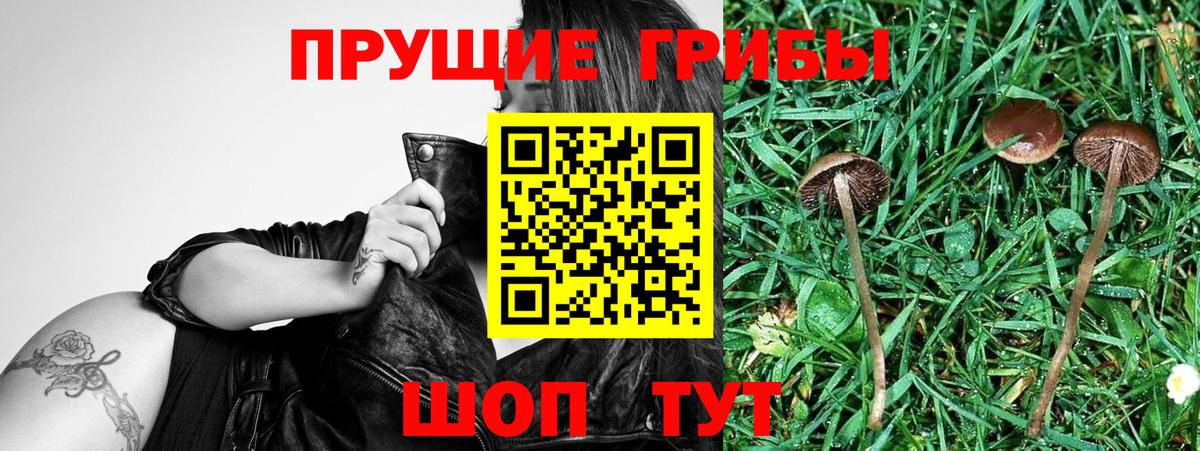 Псилоцибиновые грибы MAGIC MUSHROOMS Пыть-Ях